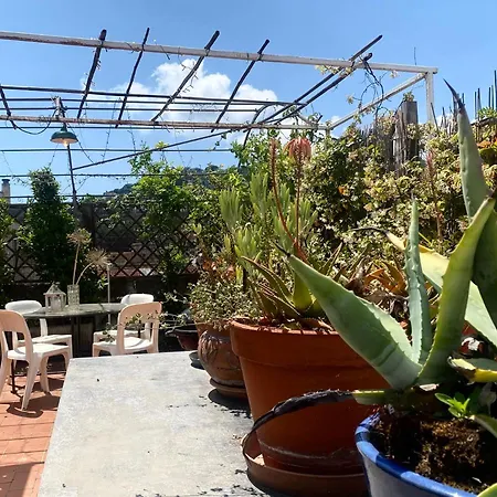 Apartment Casaviva - With Terrace And Parking In Rapallo