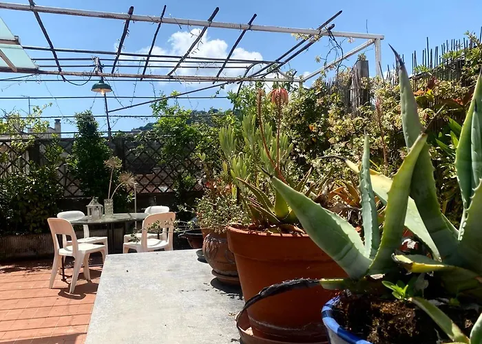 Apartment Casaviva - With Terrace And Parking In Rapallo